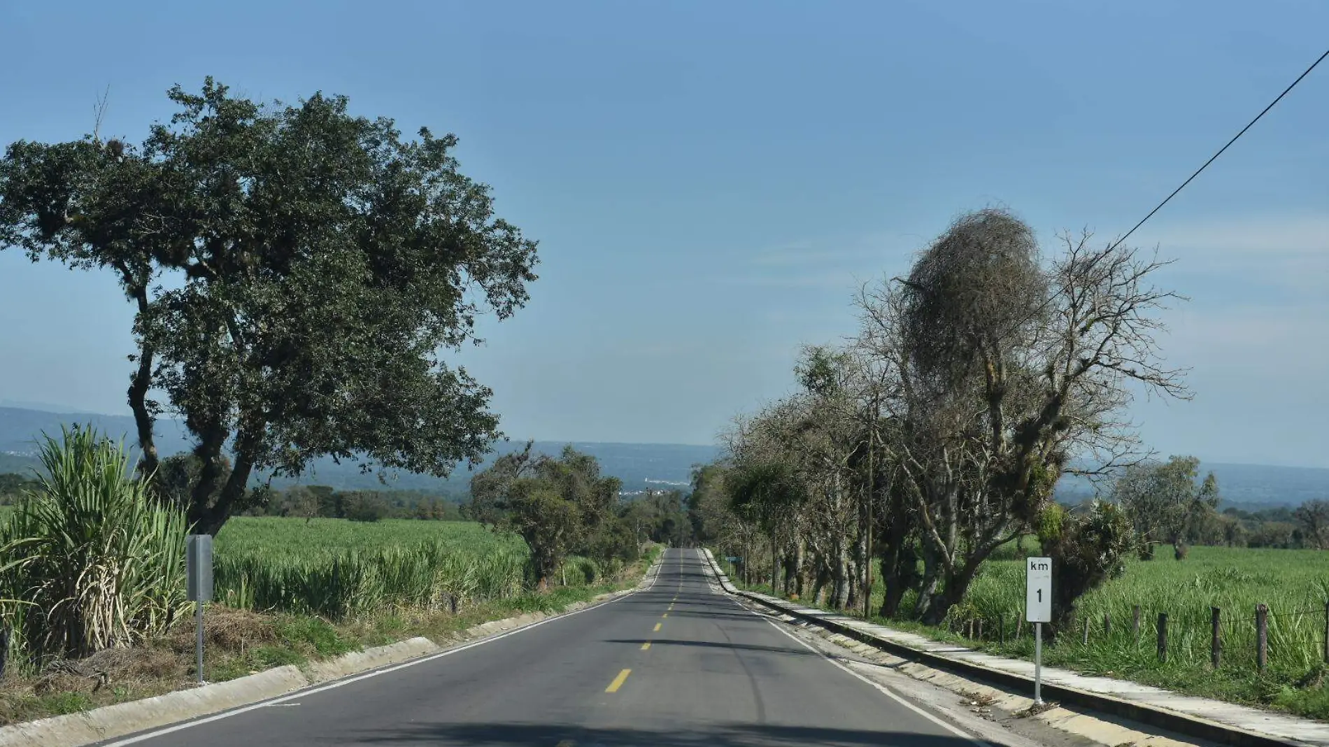 RENE-CARRETERA TEOCELO